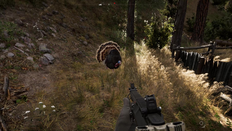 Illustration for article titled Beware Far Cry 5’s Rampaging Turkeys